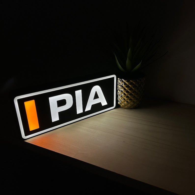 Oscar Piastri (Mclaren F1) Name Abbreviation F1 Light with LED Lighting, Formula 1, F1 Racing image 3