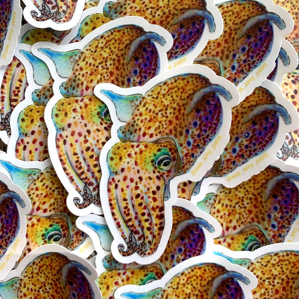 Bobtail Squid Sticker