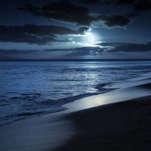 Ocean water from Gulf of Mexico with free mystery gift