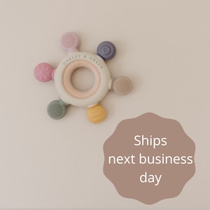 Wooden Baby Toy - Silicone Baby Toy - Montessori Baby Toy - Washable Baby Toy for Boys and Girls - Textured Baby Toy