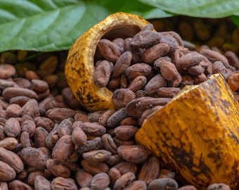 Ceylon Dried Cocoa Beans (Theobroma Cacao Seed Dried): A Rare Taste of Sri Lankan Chocolate 100g