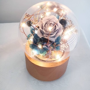 Laputa rainbow, white, blue rose oregel led dome : light lamp with music box  (Preserved eternal / Dried Flowers designed)- Jane Florist