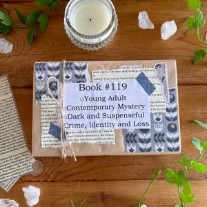 Book 119 - Blind Date with a Book, Mystery Book Gift, Wrapped Surprise Book, Book Lover’s Gift, Reading Challenge, Surprise Book Bundle