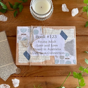 Book 123 - Blind Date with a Book, Mystery Book Gift, Wrapped Surprise Book, Book Lover’s Gift, Reading Challenge, Surprise Book Bundle