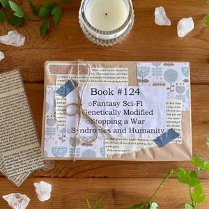 Book 124 - Blind Date with a Book, Mystery Book Gift, Wrapped Surprise Book, Book Lover’s Gift, Reading Challenge, Surprise Book Bundle