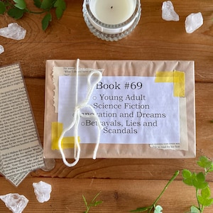 Book 69 - Blind Date with a Book, Mystery Book Gift, Wrapped Surprise Book, Book Lover’s Gift, Reading Challenge, Surprise Book Bundle