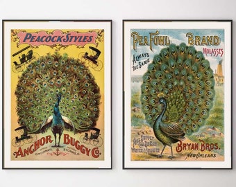 Vintage Peacock Bird Poster Wall Art Set of 2 MAILED Prints or INSTANT DOWNLOAD Beautiful Mid Century Retro Nouveau Home Room Decor POST20