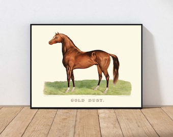 Equestrian Wall Art Vintage Horse Poster Horse Rustic Home Decor Farmhouse Farm Riding Decoration PHYSICAL Print or INSTANT DOWNLOAD ANMR102