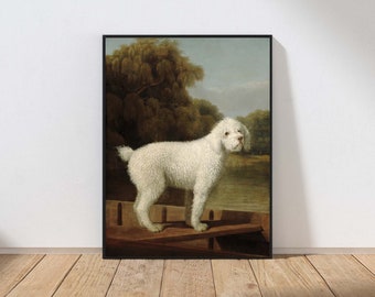 Vintage White Poodle Dog Puppy Wall Art Print George Stubbs Painting Antique Cottage Home Decor MAILED Print or INSTANT DOWNLOAD ANMR112