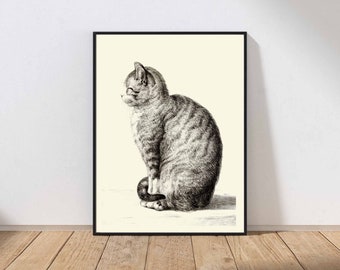Cat Portrait Wall Art Drawing Antique Black and White Sketch Kitten Farmhouse Minimalist Home Decor MAILED Print or INSTANT DOWNLOAD JB1