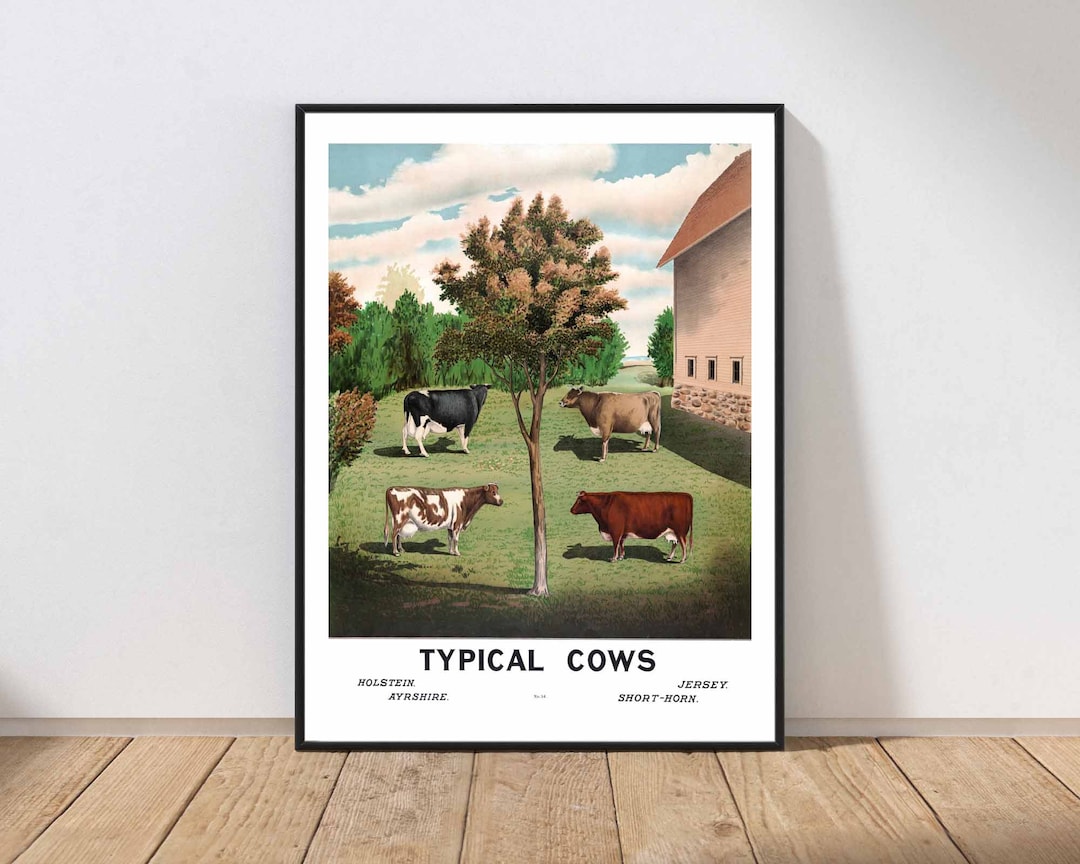 Cow Farmhouse Wall Art Poster Painting Vintage Country Animal Farm ...