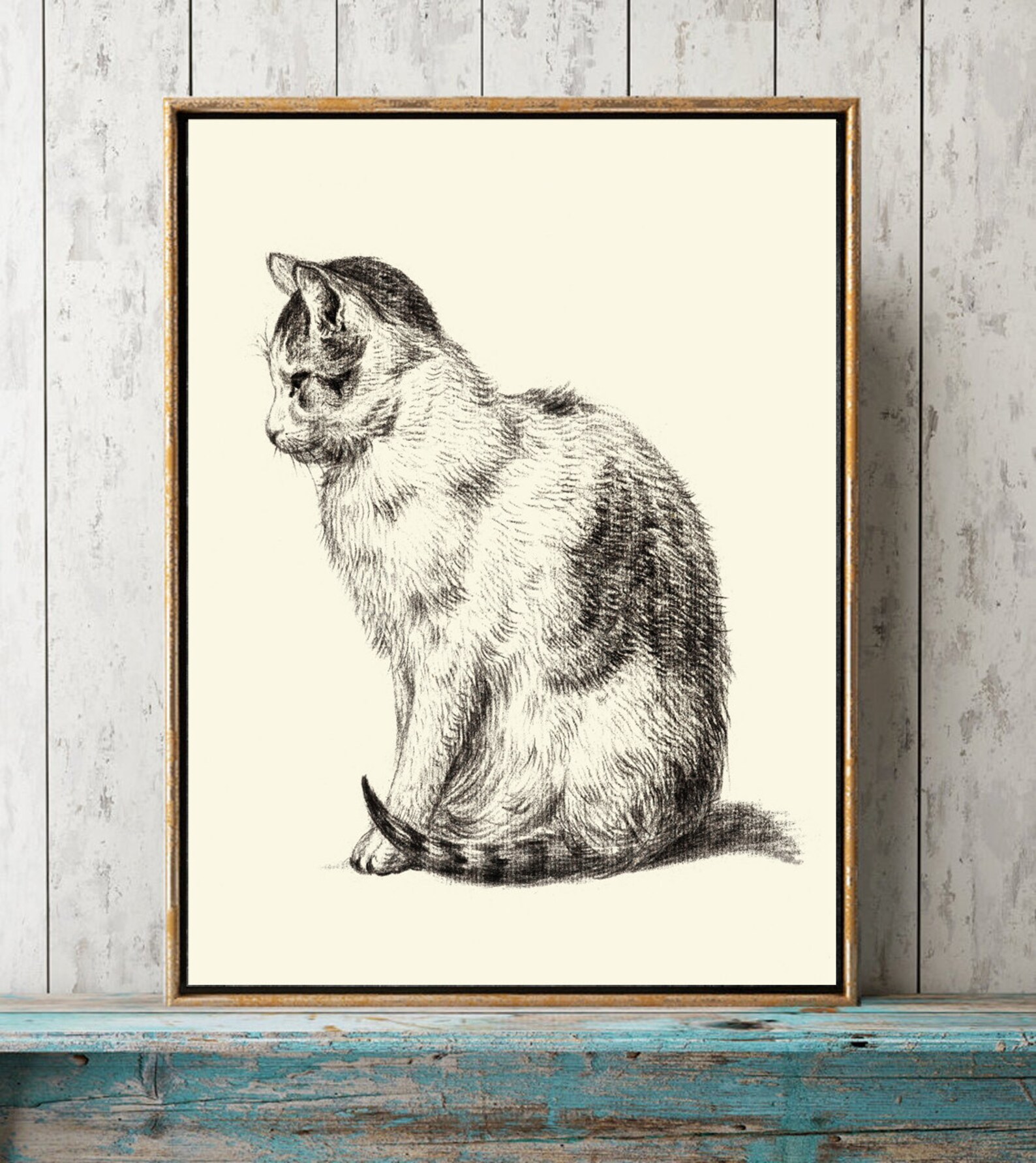 Cat Kitten Cute Cats Wall Art Vintage Antique Black and White Etsy