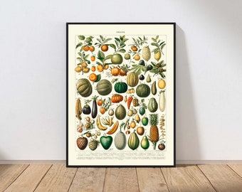 Könnte beinhalten: Vintage botanische Illustration verschiedener Früchte, darunter Melonen, Äpfel, Birnen, Zitrusfrüchte und Ananas. Die Illustration ist in einem schwarzen Rahmen und hat das Wort "FRUITS" oben.