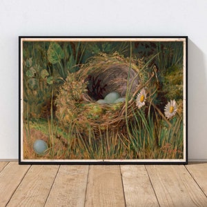 Vintage Bird Nest Wall Art Antique Painting Wildflowers Blue Eggs Daisies Country Farmhouse Decor MAILED Print or INSTANT DOWNLOAD BIRD8
