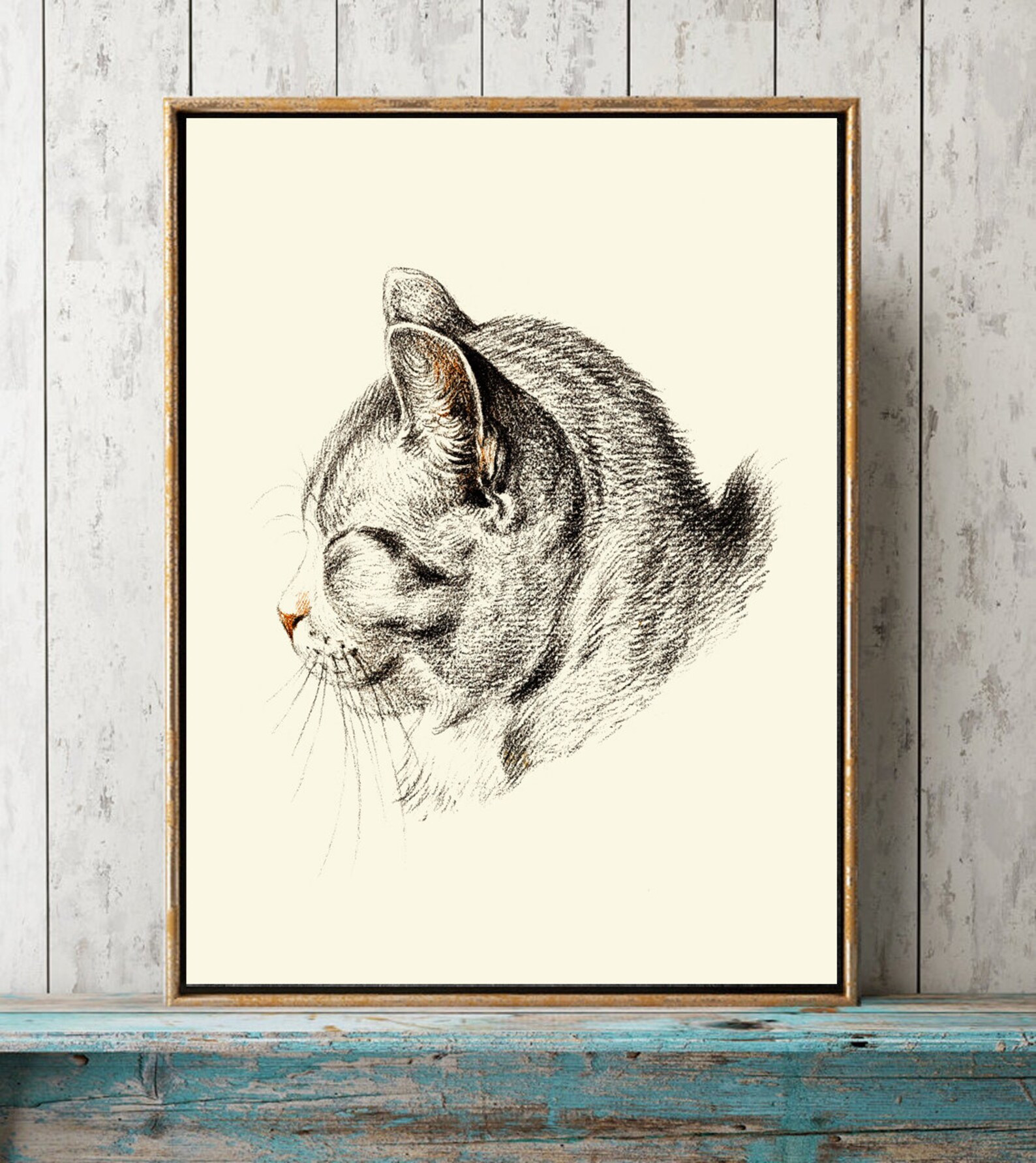 Cat Kitten Cute Cats Wall Art Vintage Antique Black and White Etsy