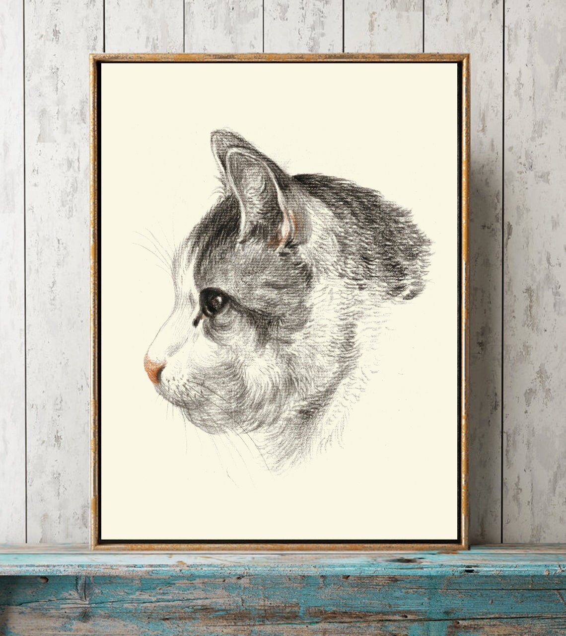 Cat Kitten Cute Cats Wall Art Vintage Antique Black and White Etsy