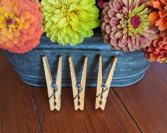 12 American Made Clothespins, Quality Clothespins, Laundry Supplies, Strong Clothespins, Clothespins Made to Last, Laundry Needs, Crafting