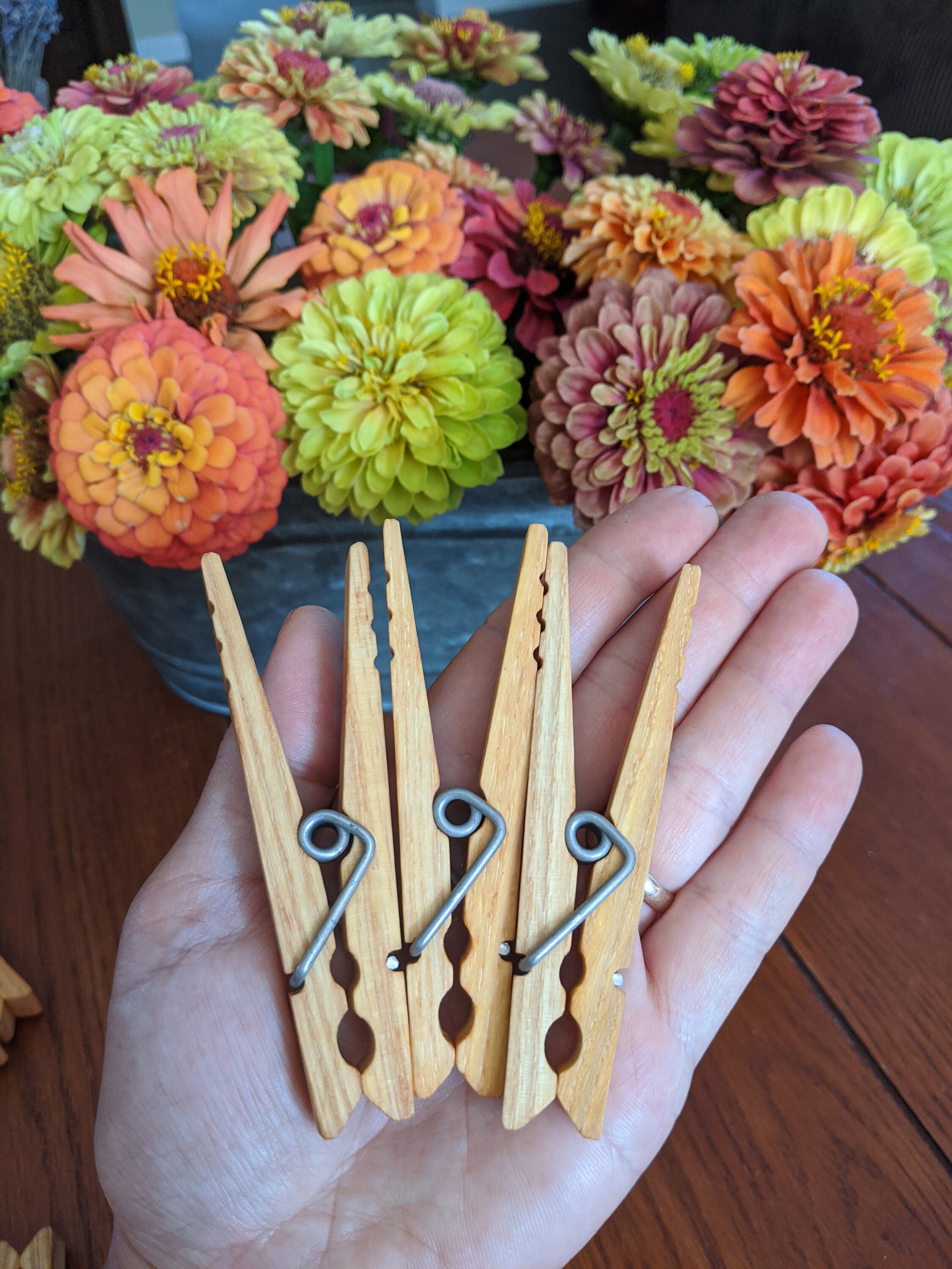 12 American Made Clothespins, Quality Clothespins, Laundry Supplies ...