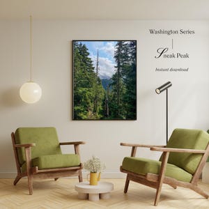 Interior Decor Wall Art Mount Rainier Washington Mountain and Trees Digital Print