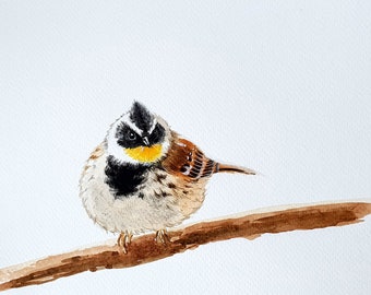 Printable yellow-throated bunting-watercolor