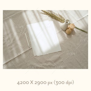 May include: A white sheet of paper with a white stylus on a beige linen fabric background. A small white ceramic vase with dried grass and three wooden spheres are in the top right corner of the image.