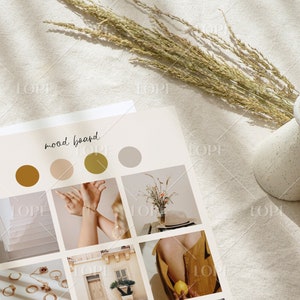 May include: Mood board with a color palette of brown, beige, gold, and gray. The board includes images of a window with sunlight streaming through, a hand wearing gold bracelets, a bouquet of dried flowers in a vase, a building with a door and a potted plant, and a person wearing a yellow dress holding a lemon.