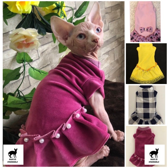 Dress for Sphynx Kittens.clothes for Baby Cat.outfit for 