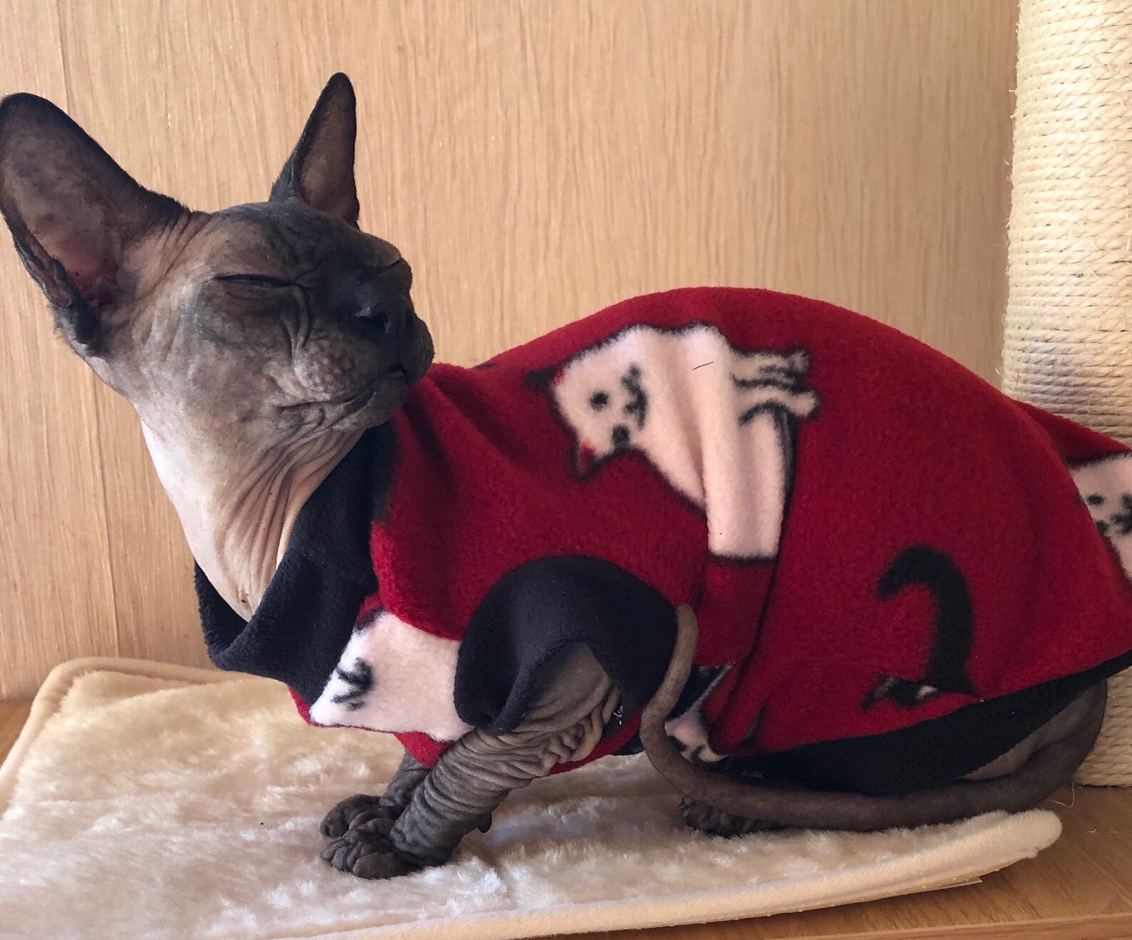 Clothes for Sphynx Cat Devon Rex. Warm Fleece Jumper for Cat Etsy