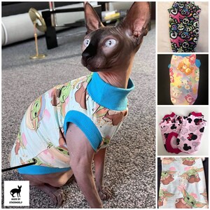 sphynx kitten clothes
