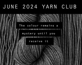 JUNE 2024 YARN CLUB, hand dyed Yarn, yarn, sock yarn, worsted yarn, knitting, gift for knitter, crochet yarn, hand dyed, knit