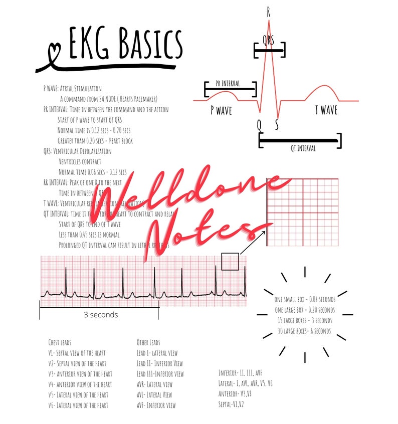 EKG BASICS study guide | Etsy