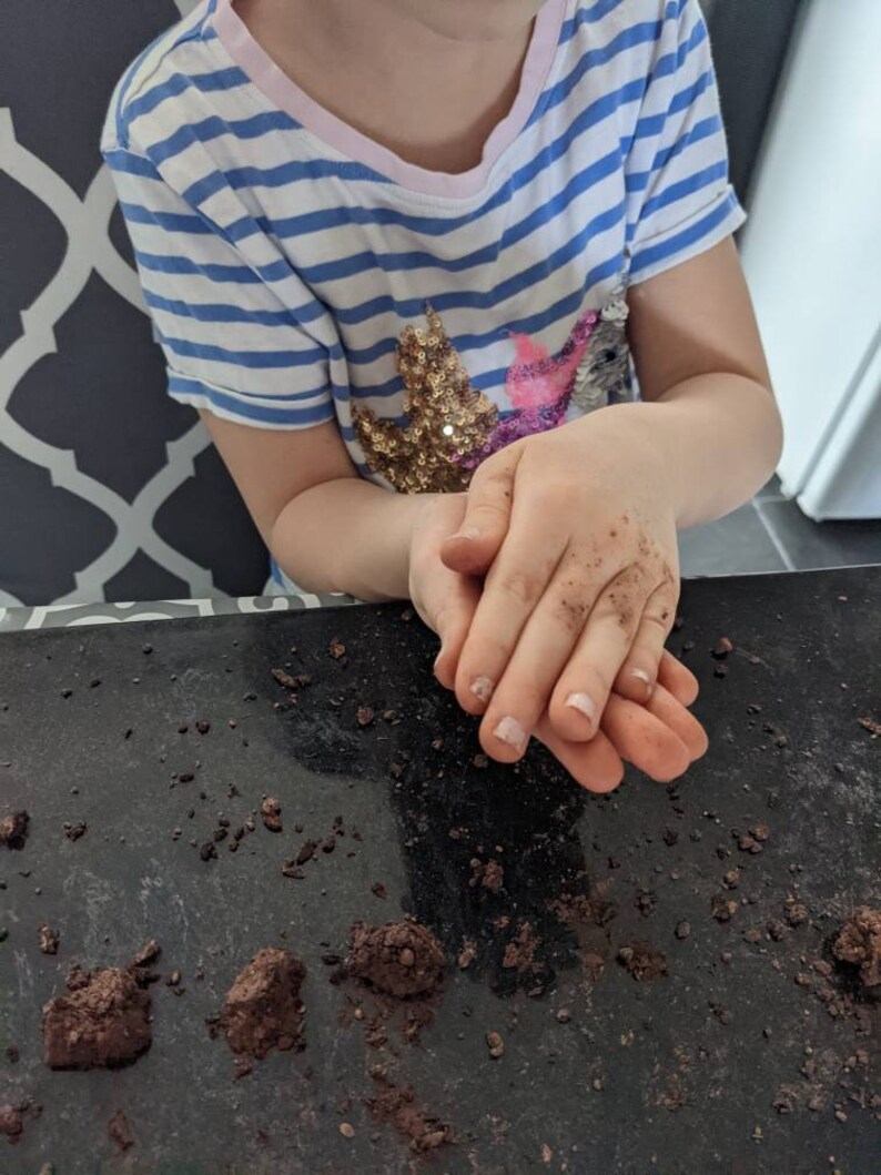 DIY Wildflower Seed Bomb Kit Eco Friendlybee Bombs Perfect Etsy UK