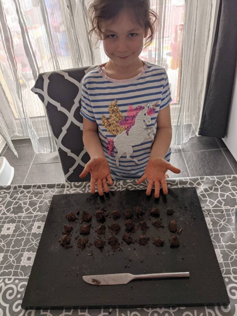 DIY Wildflower Seed Bomb Kit Eco Friendlybee Bombs Perfect Etsy UK