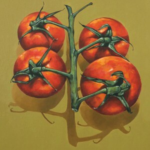 May include: A still-life painting of four ripe, red tomatoes attached to a green vine. The tomatoes have green stems and are set against a yellow-green background. The shadows cast by the tomatoes and vine are visible.