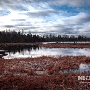 Puede incluir: Un muelle de madera se extiende hacia un lago tranquilo rodeado de un bosque y un cielo nublado. El agua refleja el cielo y los árboles. El suelo está cubierto de hierba marrón.