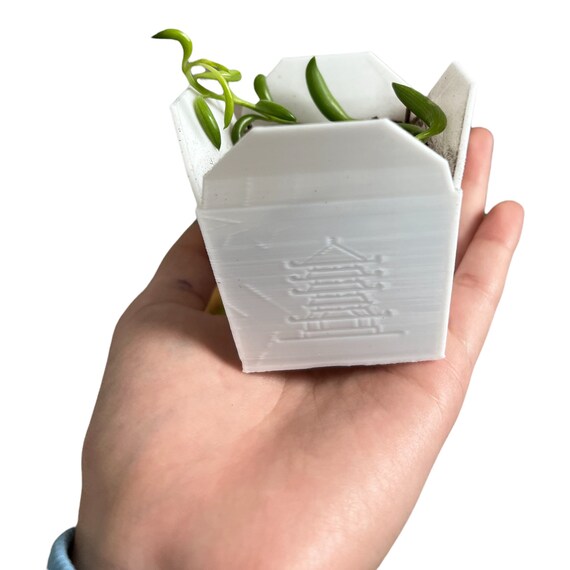 Chinese To Go Box Propagation Planter Etsy