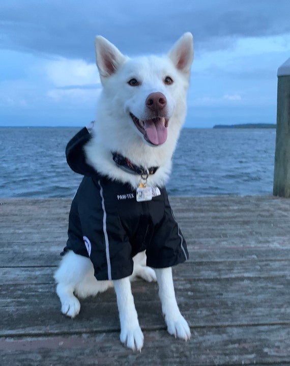 pupreme dog jacket