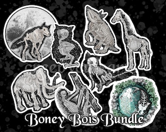Boney Boi's Bundle | Vinyl Sticker Pack | Set of 8 | Skeleton Animal | Gothic Gift | Oddities