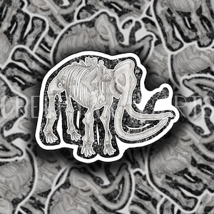 Elephant Skeleton | Vinyl Sticker | Water Proof