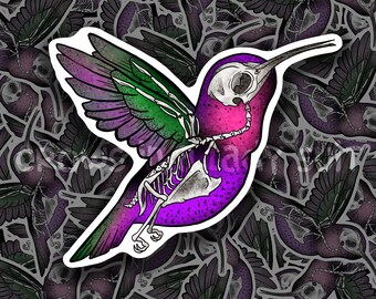 Colorful Skeleton Hummingbird | Vinyl Sticker | NEW VERSION