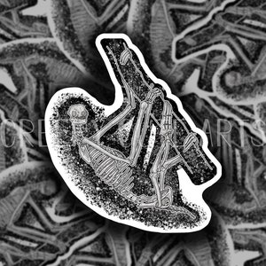 Sloth Skeleton | Vinyl Sticker | Water Proof