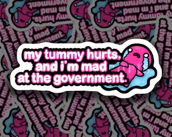 My Tummy Hurts and I'm Mad at the Government | Vinyl Sticker | Cute Gift