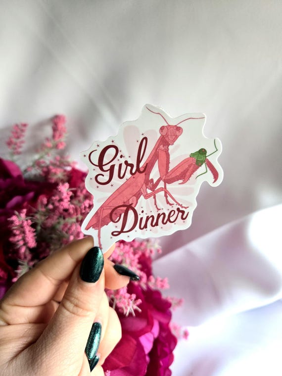 Girl Dinner Praying Mantis Vinyl Sticker | Funny Gift - Etsy