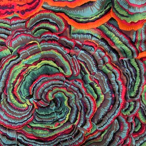 May include: Textile pattern with a swirling design in teal, green, red, orange, and brown. The layered pattern has an organic appearance, similar to a cross-section of a tree trunk or a geological formation.
