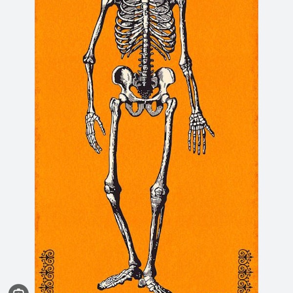 Parc Mr Chillingsworth Andover, squelette effrayant Mr Bones Halloween Coton tissu Mr Chillingsworth Andover