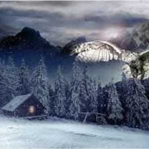 Peut inclure: Une œuvre d'art numérique représentant une forêt enneigée avec un petit chalet et des montagnes en arrière-plan. Deux hiboux sont superposés dans le ciel, leurs ailes déployées. La palette de couleurs est principalement composée de bleus, de blancs et de gris.