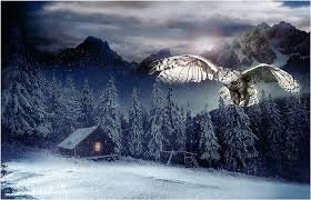 Owl fabric panel,Call of the wild midnight owl Hoffman California winter owl fabric panel cotton  fa