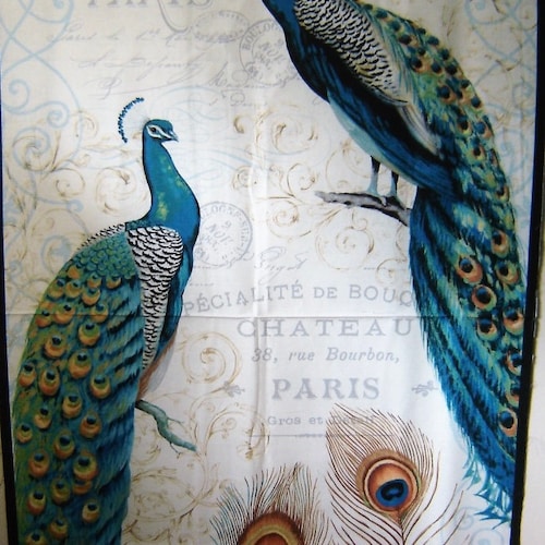 Peacock Panel Fabric Majestic Beauties by Daphne B Fabric Etsy