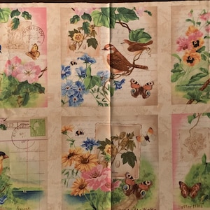 Flights of fancy Birds  cotton Fabric panel,  Jane Maday Wilmington prints birds Cotton panel fabric