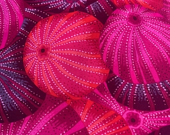 Sea Urchins  Kaffe Philip Jacobs Fassett Collective Free spirit  Cotton  fabric by the last piece 1.5 yards OOP cotton  fabric